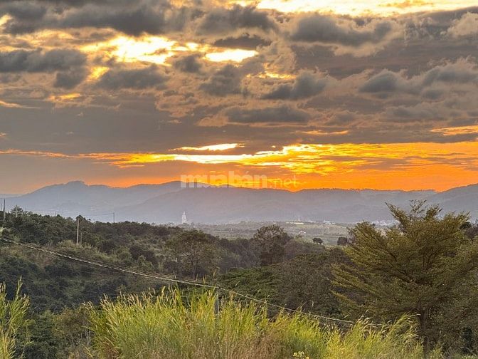 Đất ven Đà Lạt giá chỉ 490 triệu, SHR, view đồi thông mát mẻ