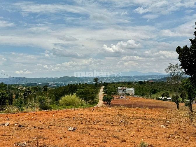 Đất ven Đà Lạt giá chỉ 490 triệu, SHR, view đồi thông mát mẻ