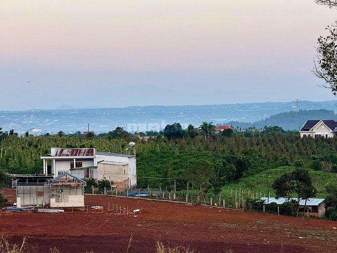 Đất ven Đà Lạt giá chỉ 490 triệu, SHR, view đồi thông mát mẻ
