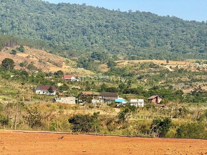 Đất ven Đà Lạt giá chỉ 490 triệu, SHR, view đồi thông mát mẻ