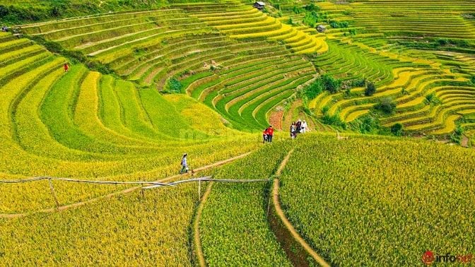 700m2 mặt đường vào Khoang Xanh, Suối Tiên, kinh doanh, sổ đỏ