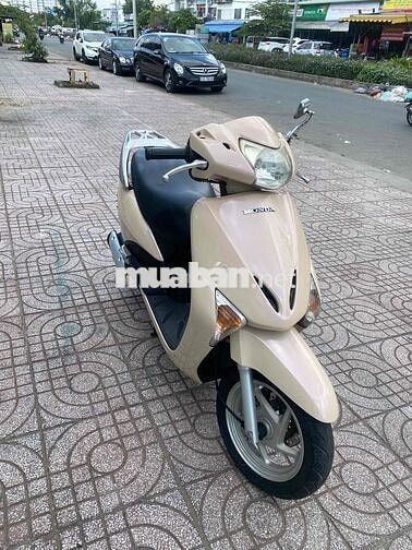 Xe Honda Lead hột gà