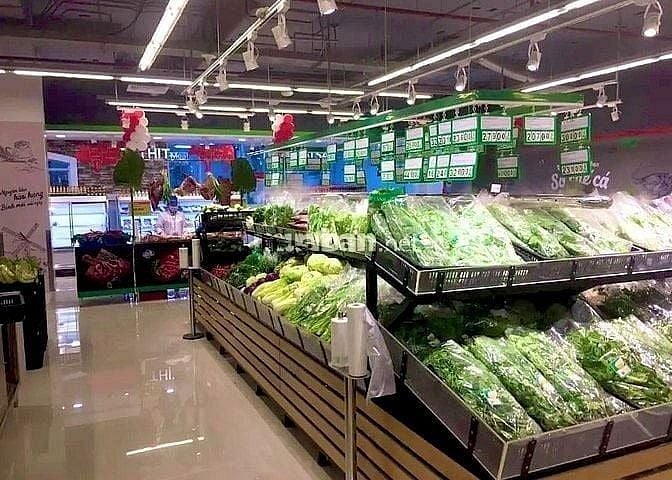 Cần Tuyển Gấp LĐPT Đi Làm Ngay cho Siêu Thị Tại TPHCM 