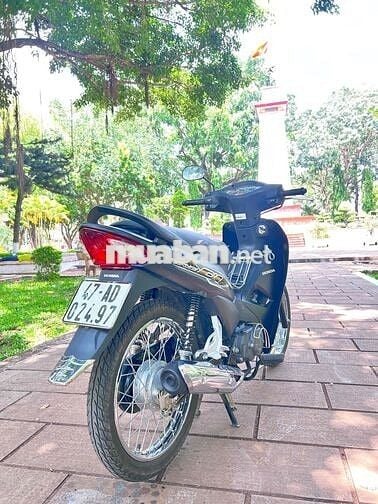 wave 20023 phố