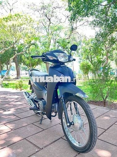 wave 20023 phố