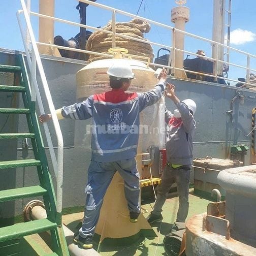 TUYỂN NHÂN VIÊN KỸ THUẬT XÔNG HƠI KHỬ TRÙNG