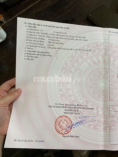 Bán 513,5m2 đất Yên Hậu, Hoà Tiến,Yên Phong, Bắc Ninh