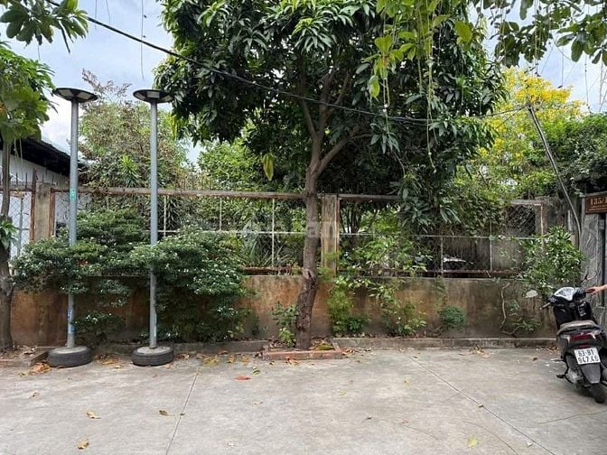 Đất xây biệt thự mini và sân vườn siêu đẹp ngay chợ Minh Phát Quận 12