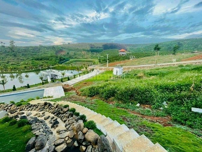 Chính chủ bán đất nghỉ dưỡng Lâm Đồng sổ sẵn sang tên ngay, 156m2 giá 
