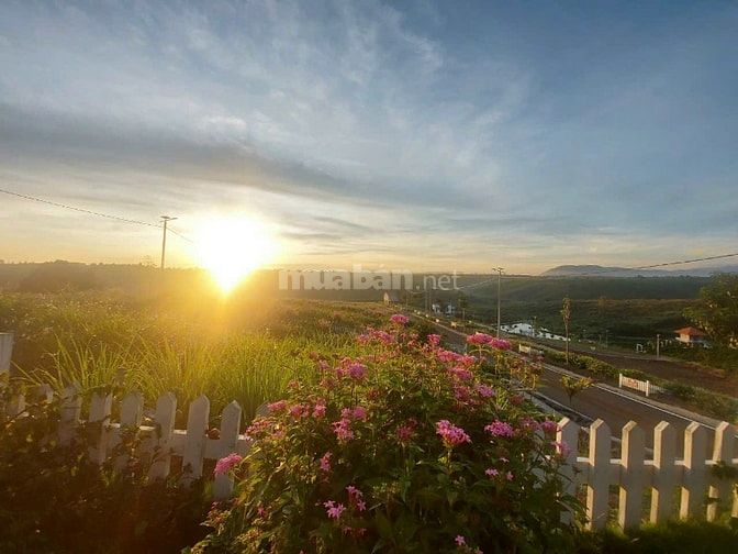 Chính chủ bán đất nghỉ dưỡng Lâm Đồng sổ sẵn sang tên ngay, 156m2 giá 