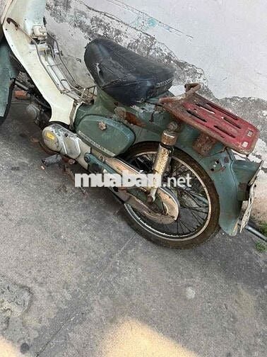 honda cup 81