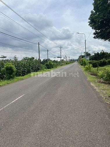 Cần bán gấp 14.200m2 MT Xuân Tây Cẩm Mỹ tỉnh Đồng Nai giá 14.5tỷ (TL)