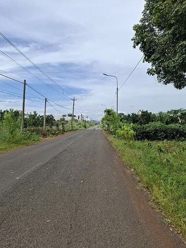 Cần bán gấp 14.200m2 MT Xuân Tây Cẩm Mỹ tỉnh Đồng Nai giá 14.5tỷ (TL)