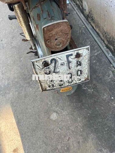 honda cup 81