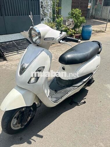 Alizabth biển tp.máy êm ngon.cavet đầy đủ