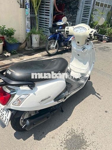 Alizabth biển tp.máy êm ngon.cavet đầy đủ