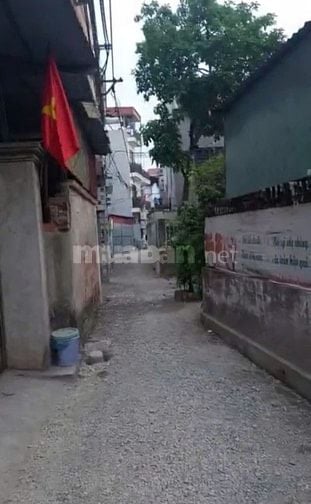 Cần bán gấp đất Lê Xá, cách cầu Tứ Liên, vin homes Cổ Loa 500m