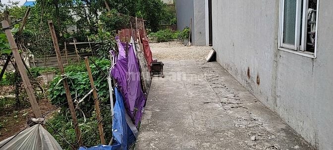 Cần bán gấp đất Lê Xá, cách cầu Tứ Liên, vin homes Cổ Loa 500m