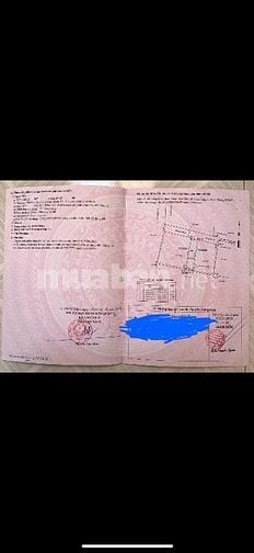 Bán đất thổ cư hẻm xe tải, phường An Phú Đông, quận 12 