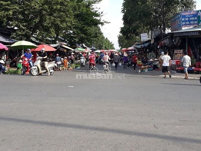 BÁN GẤP 3 LÔ 15X40=600M2 SỔ RIÊNG ĐƯỜNG 18M CẠNH KCN GIÁ 195 TRIỆU