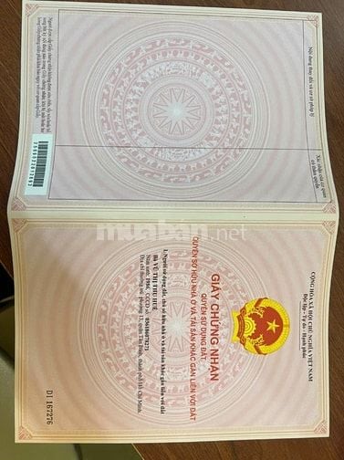 Cần bán gấp  đất thôn 1 , xã Tân Lạc huyện Bảo Lâm, tỉnh Lâm Đồng