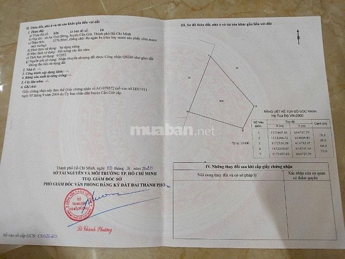 Bán Đất Xã An Thới Đông Huyện Cần Giờ TPHCM 