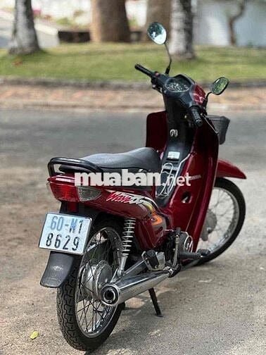 Wave 2002