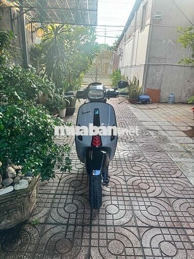 vespa 2020 xám xi măng