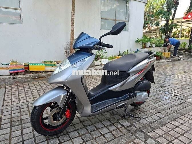 Xe Honda Dylan bstp
