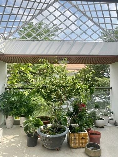 BÁN NHÀ SẲN HĐT 20TR NGAY HOA CÚC, PHÚ NHUẬN GIÁ 5TỶ850 HẺM 6M OTO