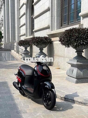 Honda Giorno 50 Kumamon