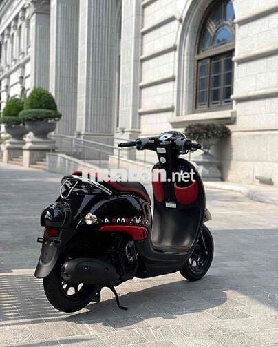 Honda Giorno 50 Kumamon