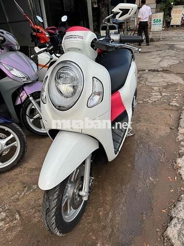 Honda Scoopy Khóa Thông Minh/ Như Mới / Chính Chủ