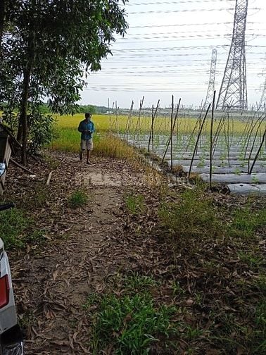 Cần bán gấp 2 héc đất có nhà c4