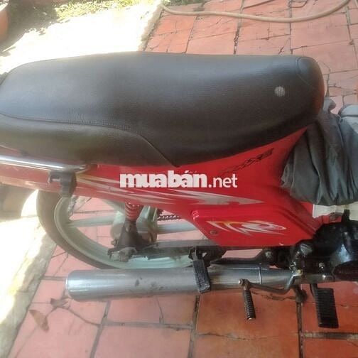 Max đỏ Nhật siêu tiết kiệm