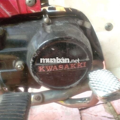 Max đỏ Nhật siêu tiết kiệm
