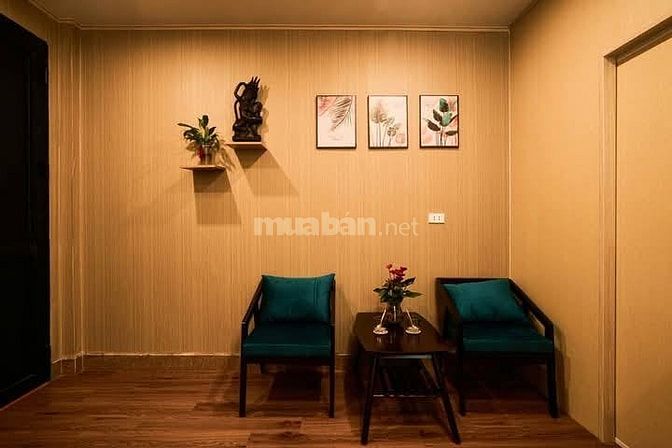 Nhà Đẹp Mặt Phố KD Linh Lang, Ba Đình 100m, 6 tầng, mt 4.5m, giá 62 tỷ