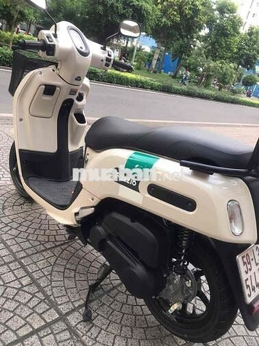 Fazzio 2023–bstp 9 chủ