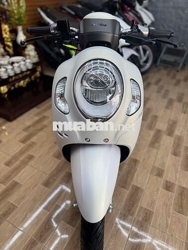 Scoopy 2025 xe như mới odo 2k bao tua
