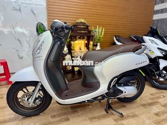 Scoopy 2025 xe như mới odo 2k bao tua