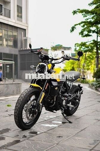 THANH MOTOR Cần bán Ducati Scrambler Icon 2024