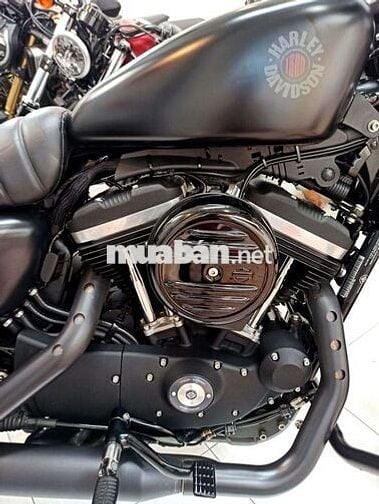 Harley Iron883 2020