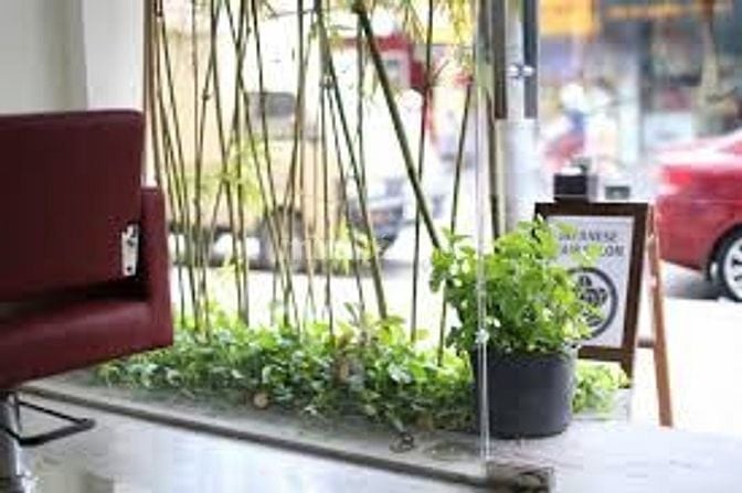 TIỆM TÓC NHẬT SALON UMBOO TUYỂN THỢ PHỤ GỘI ĐẦU, PHỤ HOÁ CHẤT.