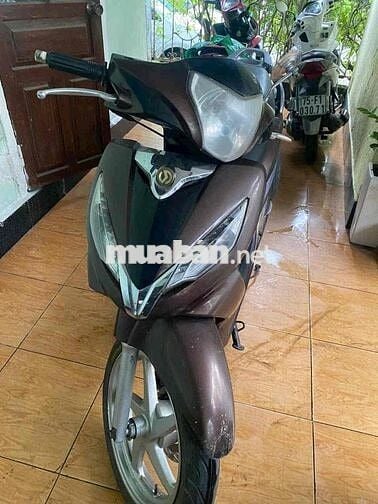 bán xe shark máy bao êm