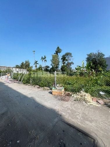 Bán 3 lô liền kê Thạnh Xuân 25.Q 12. giá đầu tư . Sổ mới ra vài ngày.