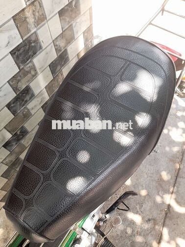 Chaly 50 xe nhật có đề