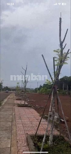 Bán gấp 2 lô đất thổ cư liền kề thuộc KDC cao cấp P.Chi Lăng, Pleiku