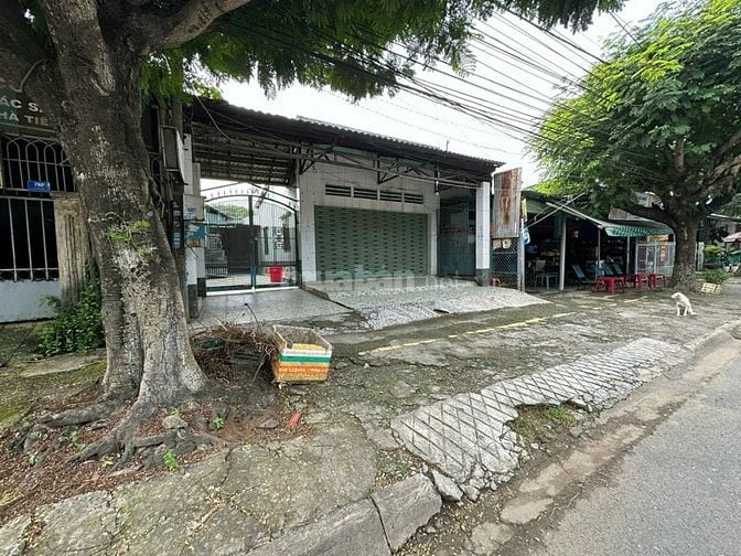 CTY ĐẤU GIÁ HỢP DANH TRỰC TUYẾN VIỆT NAM (VNOA) TỔ CHỨC ĐẤU GIÁ