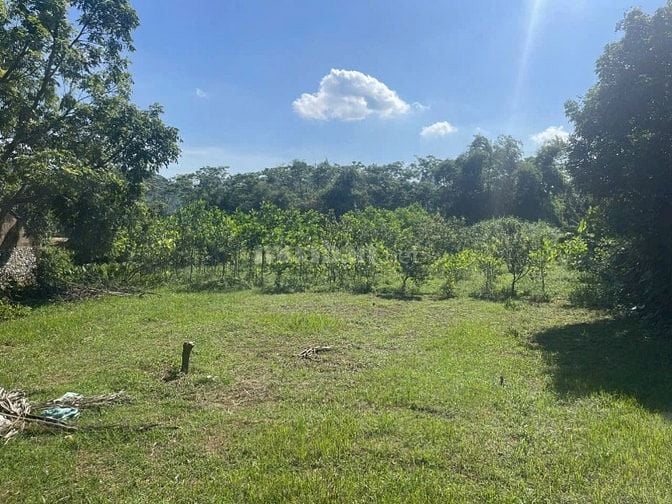 CHÍNH CHỦ BÁN 1700M ĐẤT TẠI THỊ TRẤN BA ĐỒI 