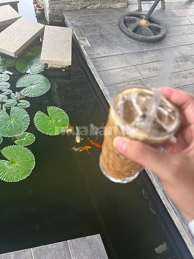 VIỆC LÀM XOAY CA CHO SINH VIÊN TPHCM